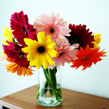 Схема вышивки «герберы»