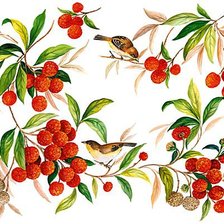 Схема вышивки «Птички и ягоды»