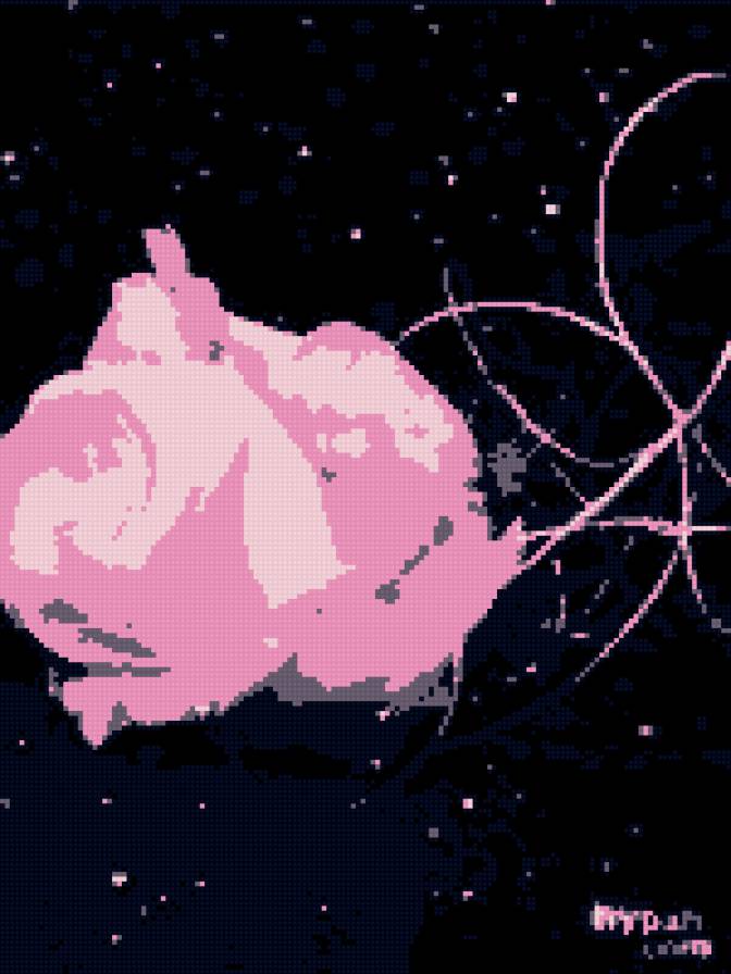 роза - розы, цветы - предпросмотр