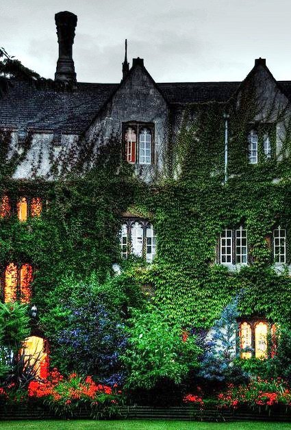 №300213 - оригинал