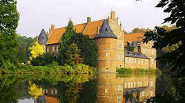 №300263 - оригинал