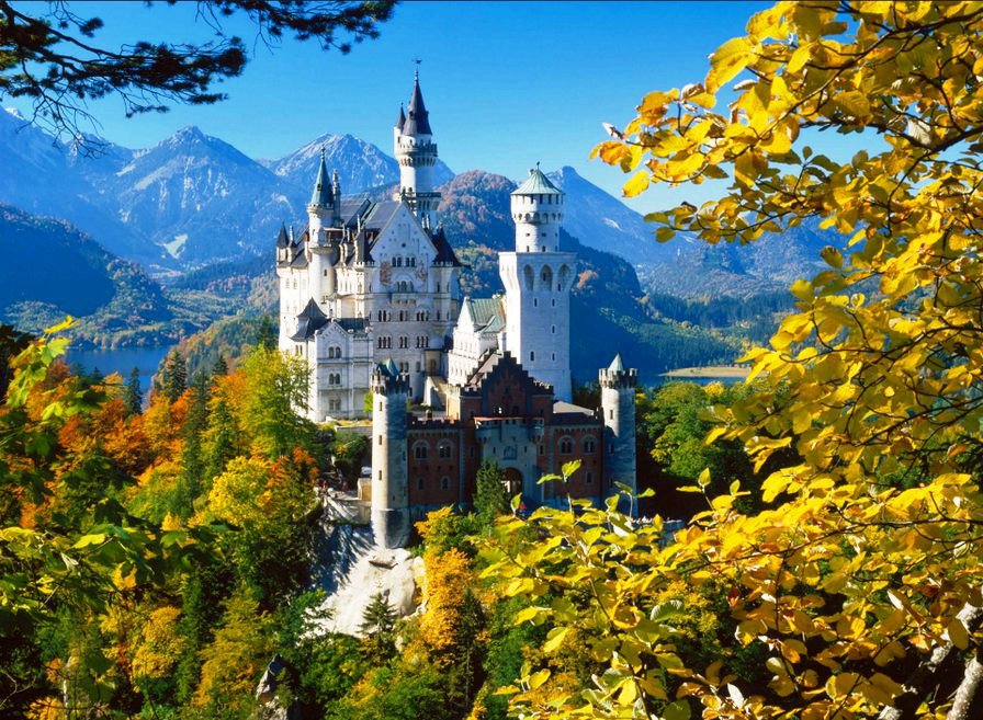 №300333 - оригинал