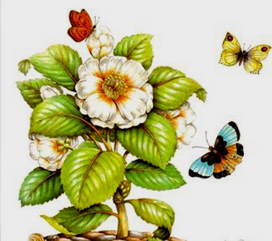 ЦВЕТЫ И БАБОЧКИ - оригинал