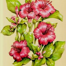 Схема вышивки «красные цветы»