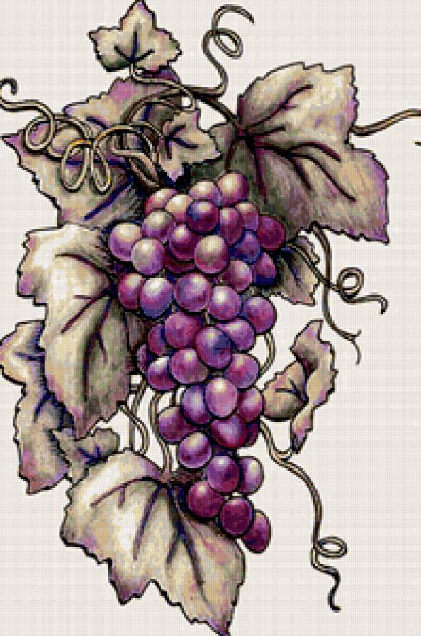 виноградная гроздь - предпросмотр