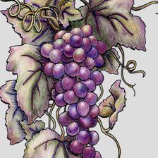Оригинал схемы вышивки «виноградная гроздь» (№300467)