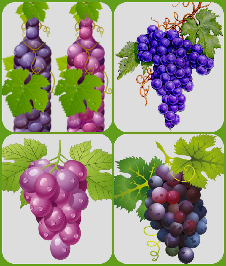 сюжет для кухни - оригинал