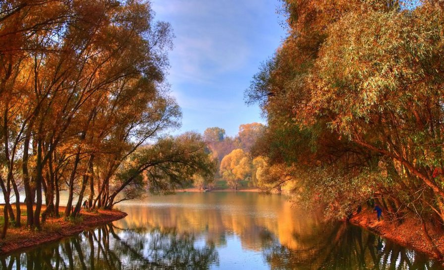 №300481 - оригинал