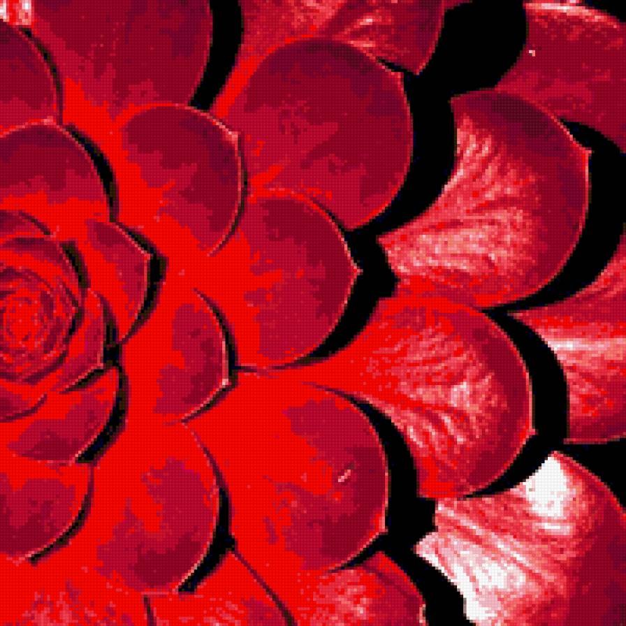 цветок - красное, цветы - предпросмотр