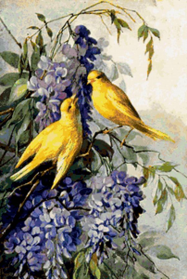 сирень и птицы - предпросмотр