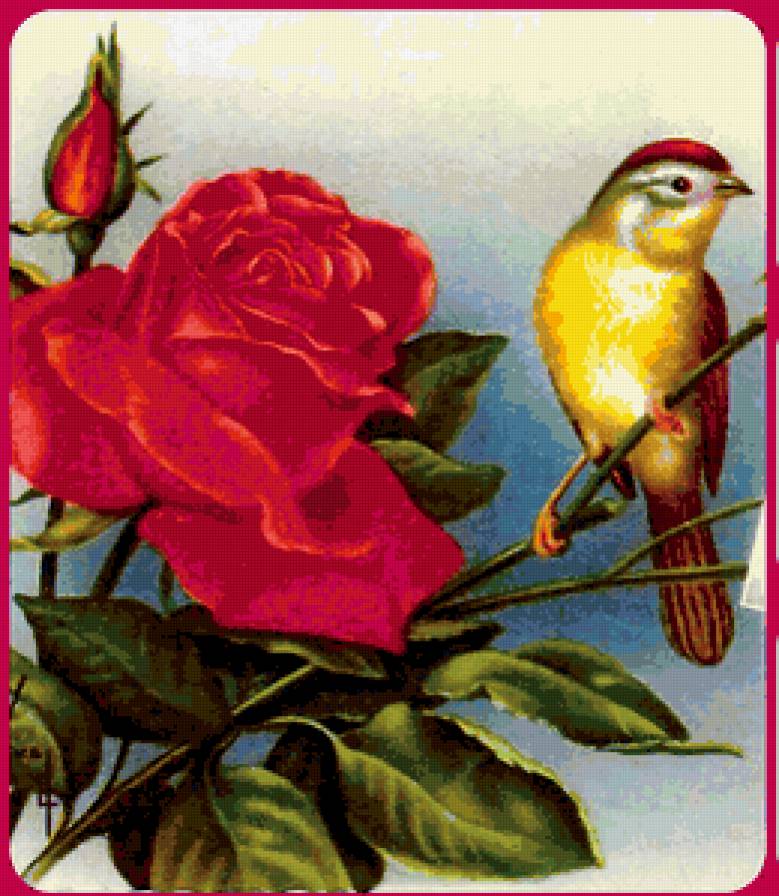 роза и птица - предпросмотр