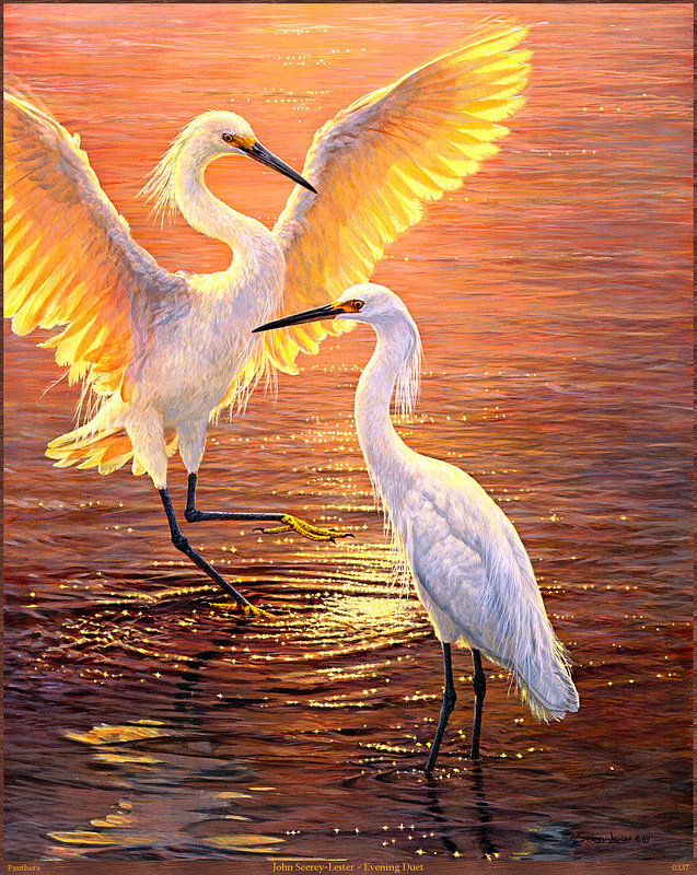 ухаживание - пейзаж, любовь, цапля, свидание, вода, птицы - оригинал