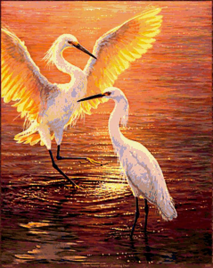 ухаживание - любовь, вода, свидание, цапля, пейзаж, птицы - предпросмотр