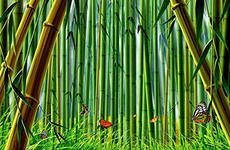 бамбук - природа - оригинал