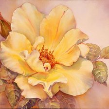 Схема вышивки «яркость»