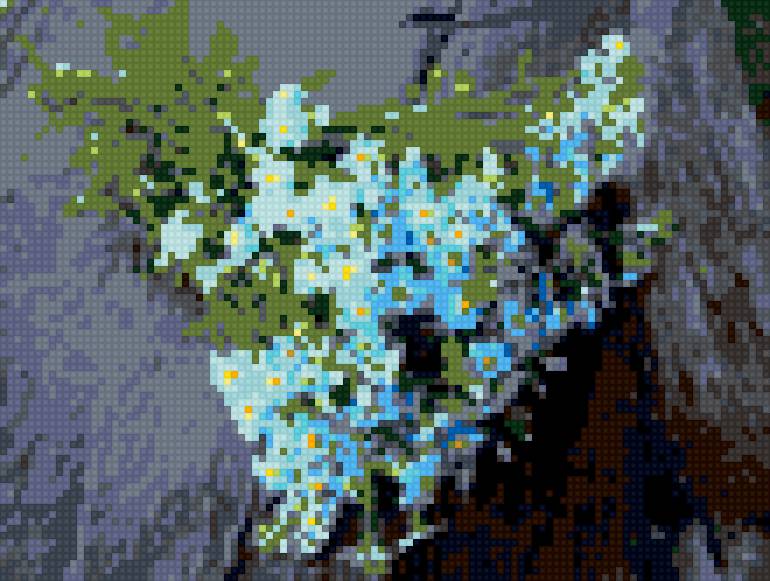 Незабудки - предпросмотр