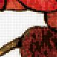 Предпросмотр схемы вышивки «маки» (№301009)