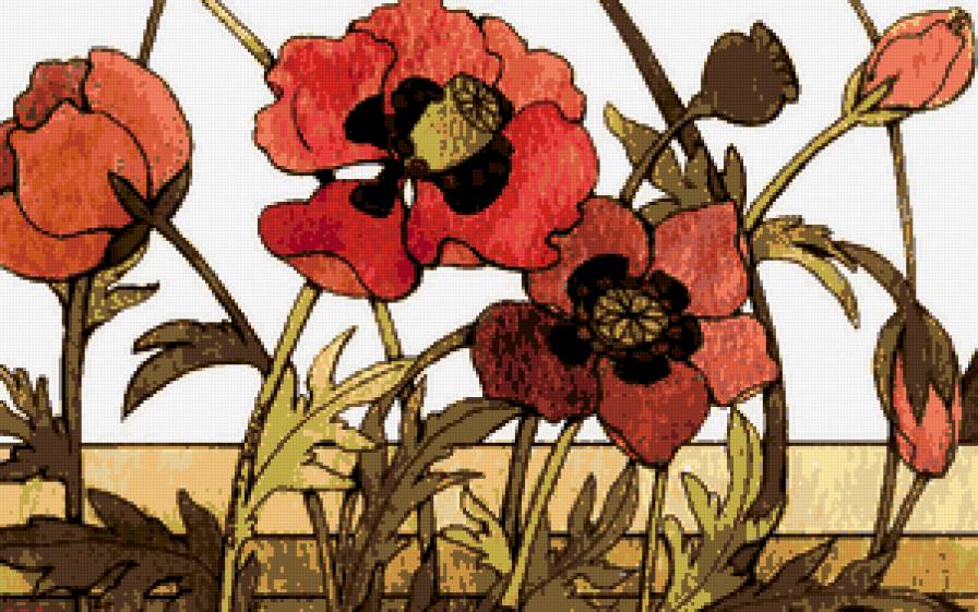 маки - растения, маки, цветы - предпросмотр