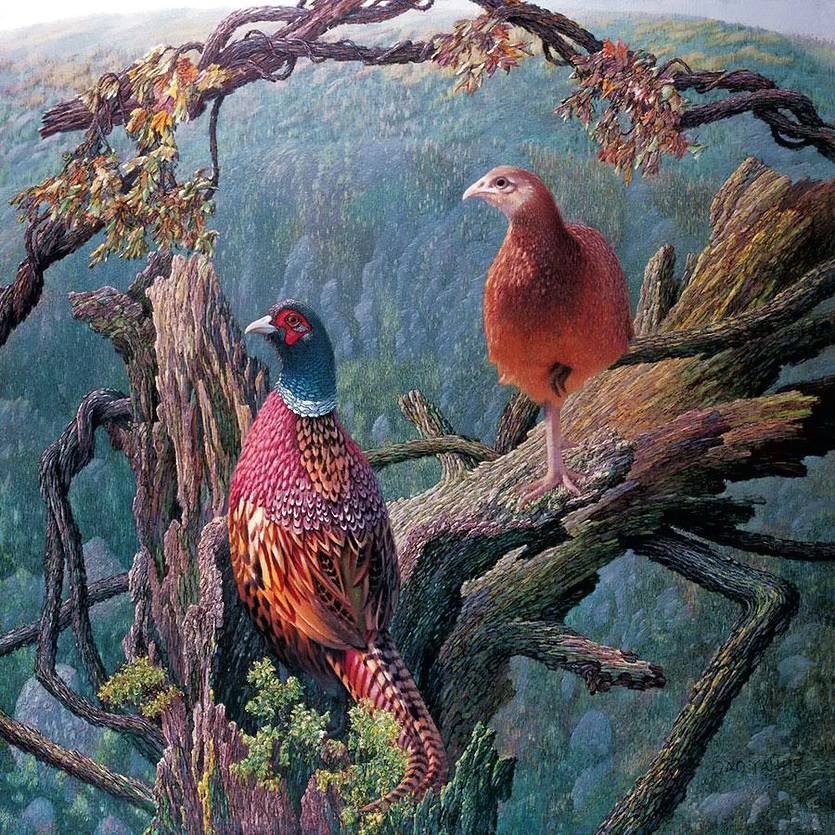 0076 - лето, красота, природа, лес, картина, птицы - оригинал