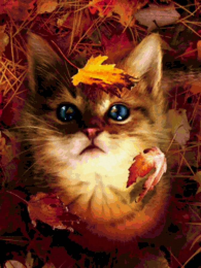 котик - осень, кот, листья - предпросмотр