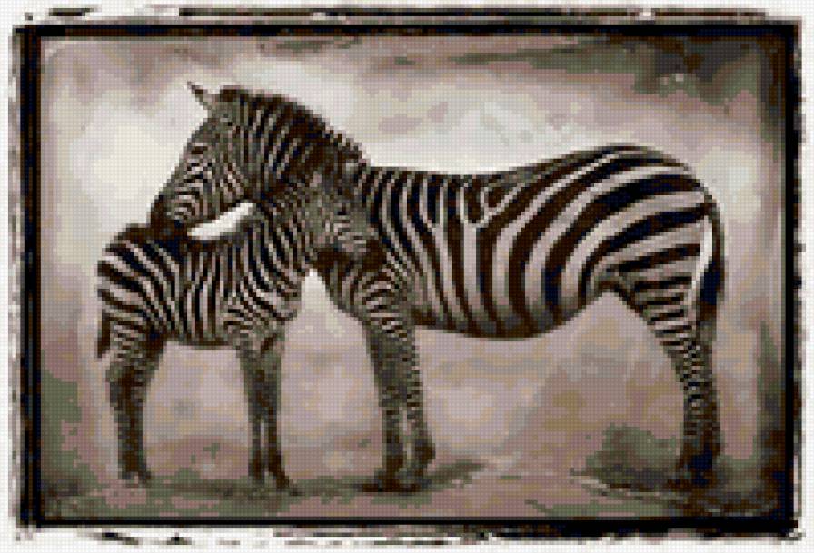 Зебра и зебренок - животные - предпросмотр