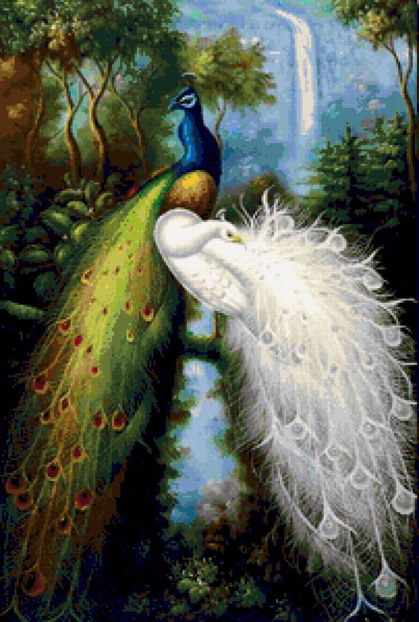 павлины в лесу - картина - предпросмотр