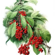 Схема вышивки «№301378»