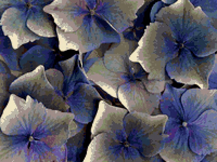 нежность - лиловый. цветы - предпросмотр