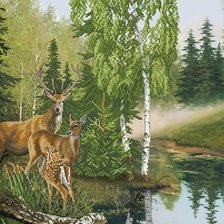 олени у ручья