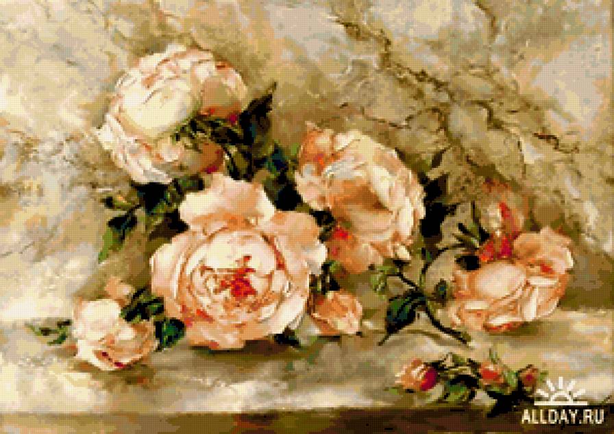 розы 435 - предпросмотр