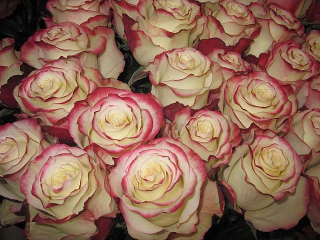 №301787 - оригинал