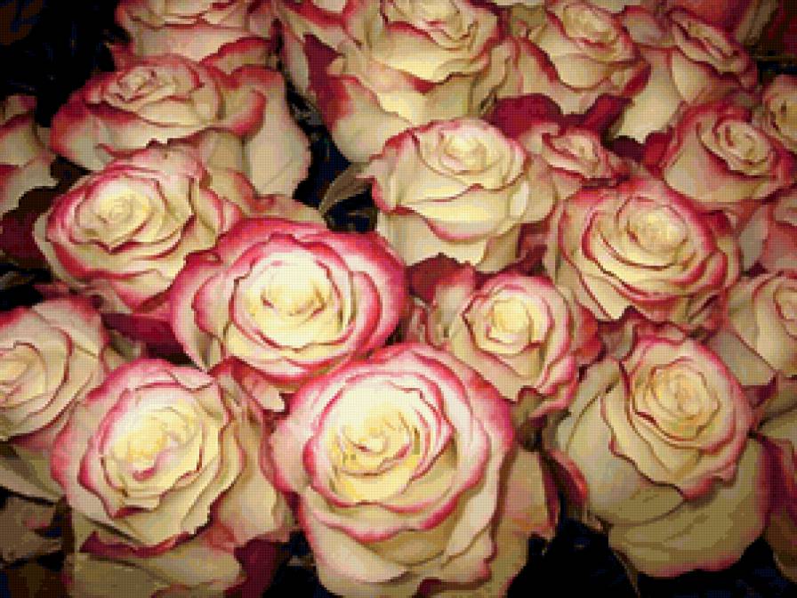 №301787 - предпросмотр