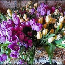 Схема вышивки «№301795»