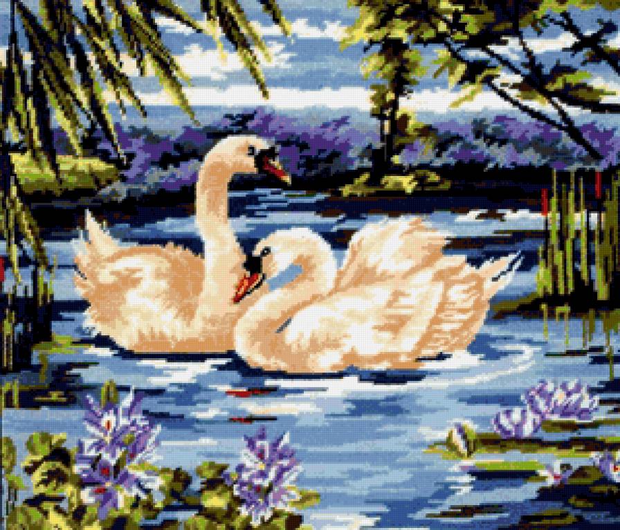 лебеди на озере - предпросмотр