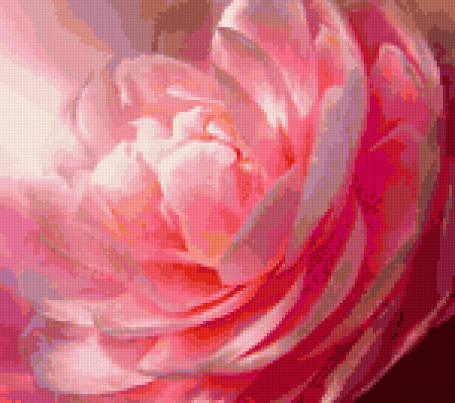 Пион - пион - предпросмотр