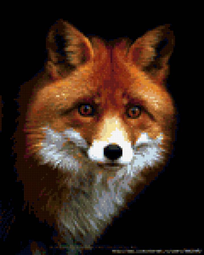 Лиса - животные, лиса - предпросмотр