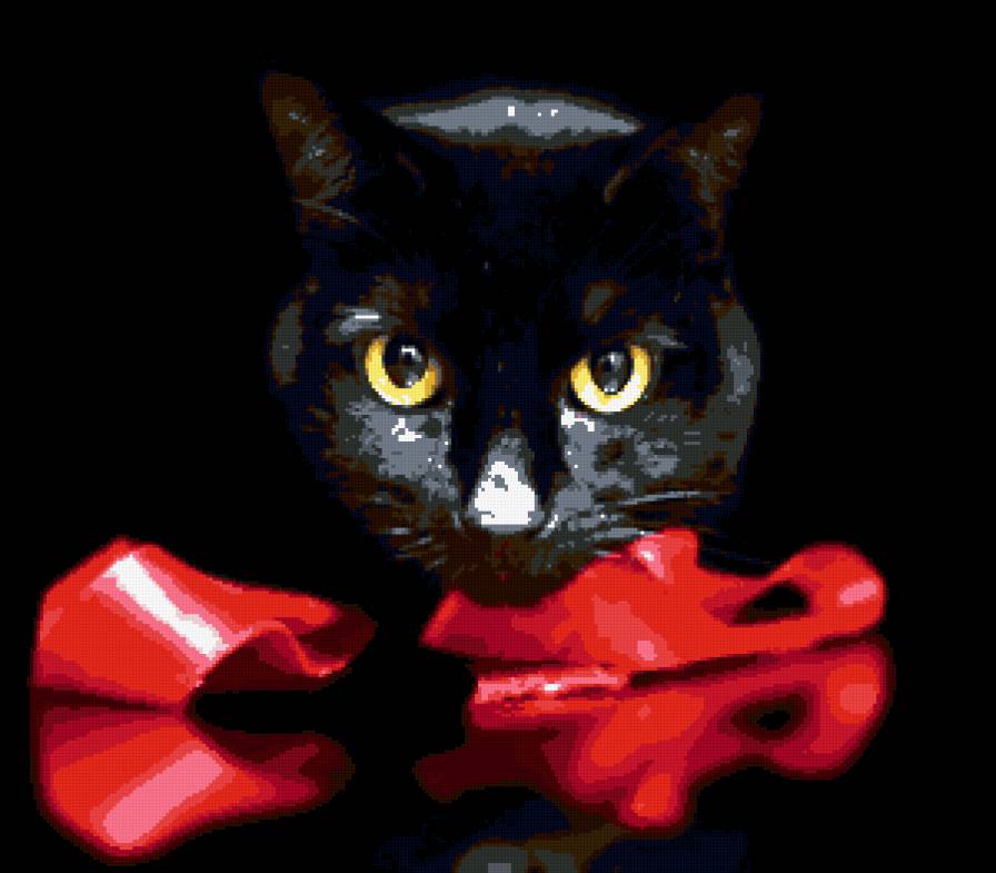 Черный Кот - животные, кот - предпросмотр