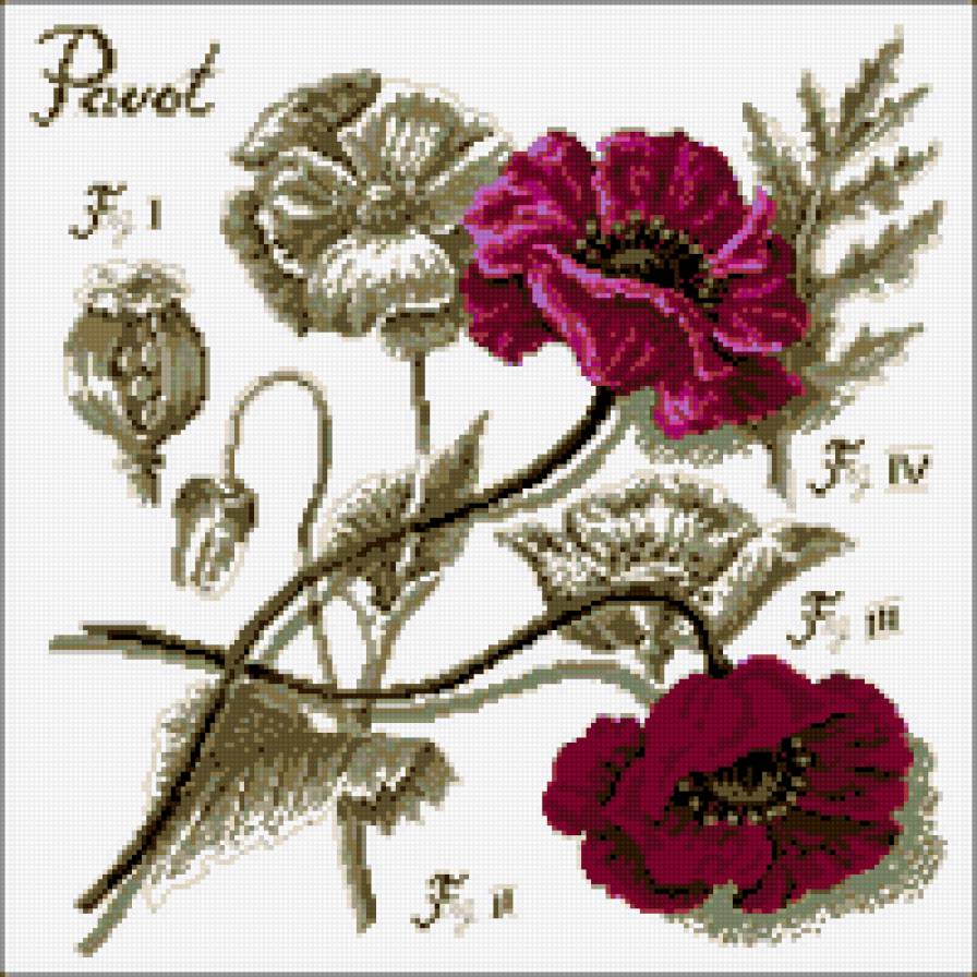 №302026 - предпросмотр