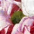 Предпросмотр схемы вышивки «Розы» (№302028)