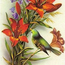 Цветы и птички