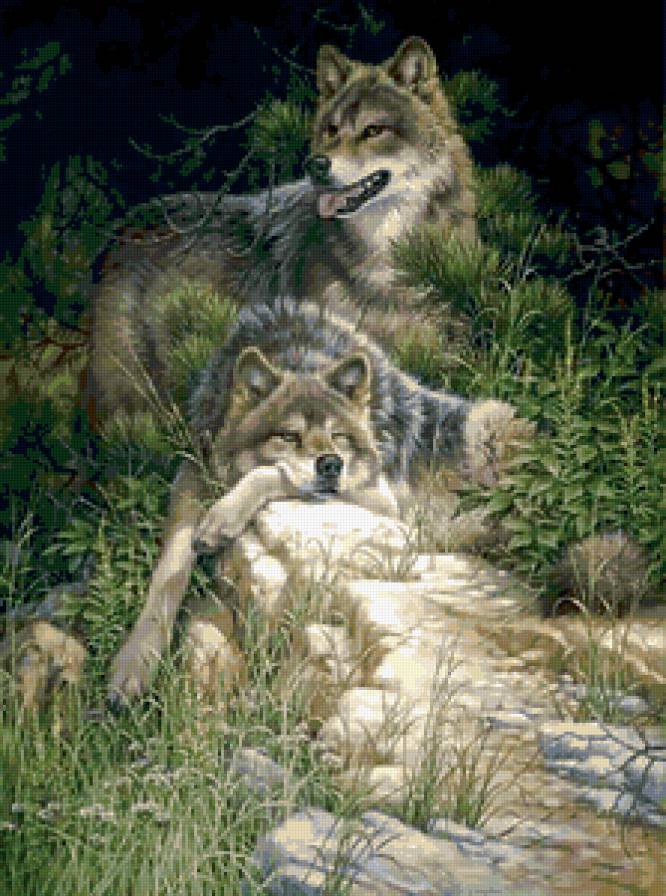 волки - животные - предпросмотр