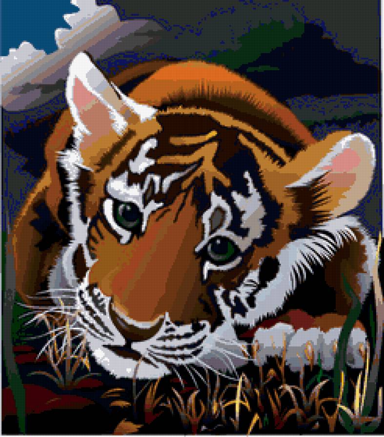 тигренок - тигр, кошки, тигры, хищники, животные - предпросмотр