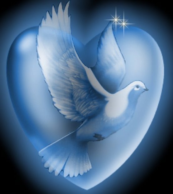 серия"голуби" - голуби - оригинал