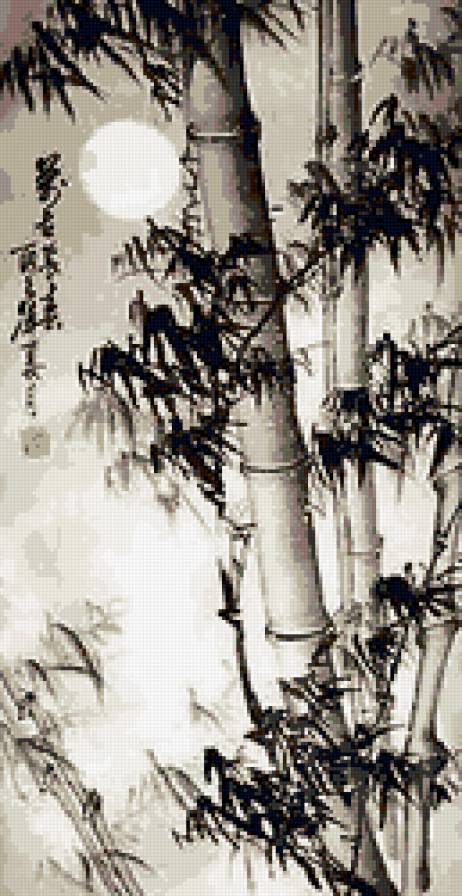 Бамбук - бамбук - предпросмотр