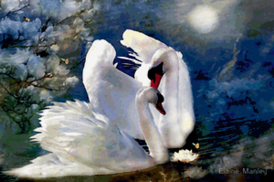 лебеди 3 - лебеди - предпросмотр