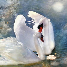 Схема вышивки «лебеди 3»