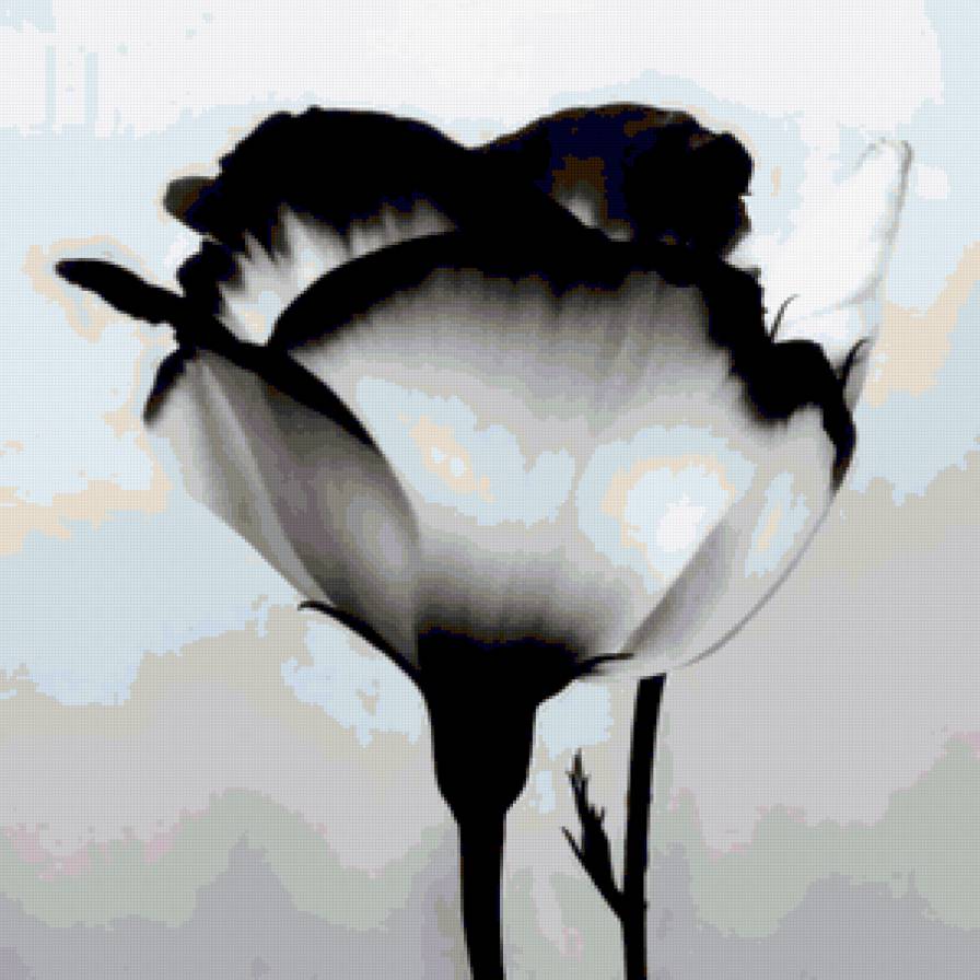 Flower - предпросмотр