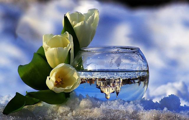 №302618 - оригинал