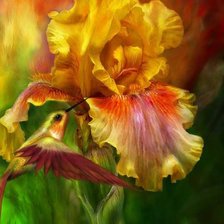 Схема вышивки «желтый ирис, колибри»