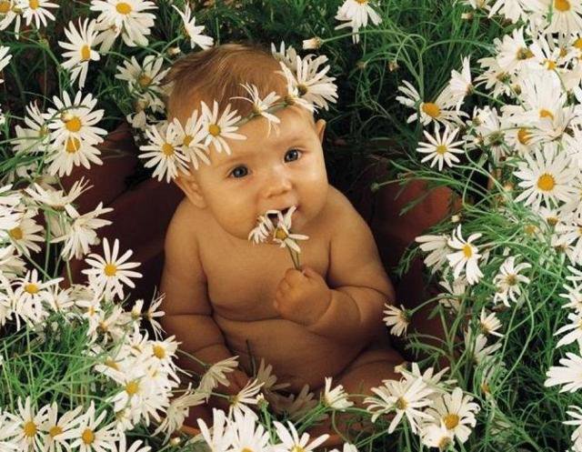 в ромашках - оригинал